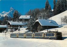 CPM Train MOB Rublihorn