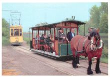 CPM Cie des tramways du Nord Lille Tramway hippomobile