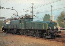 CPM Zurich Crocodile