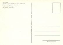 CPM Genova 1873 Omnibus in Piazza S Domenico 