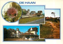 CPM Greetings from De Haan 