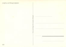 CPM Jungfrau und Wengernalpbahn 