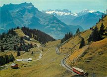 CPM Switzerland Col de Bretaye sur Villas Chesieres Vue sur Le Mont Blanc Glacier du Trent et Dents 