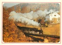 CPM Wolkenstein Johstadt 