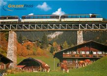 CPM GoldenPass Panoramic 