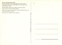 CPM Rotary snow plow 