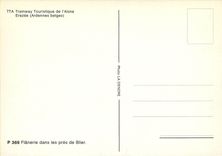 CPM Tramway Touristique de l'Aisne Erezee Ardennes Belges Flanerie dans les pres de Blier