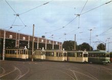 CPM Alle Rheinbahn Oldtimer auf einem Blick TW 583 954 267 380 2014
