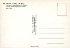 CPM Gros plan sur le Mongy Tramway articule Duwag 377 Station Croise Laroche a Marcq en Baroeul