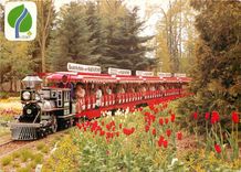 CPM Bundesgartenschau Kassel 1981 Aue Express 