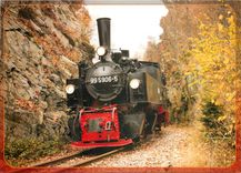 CPM Personenzug mit Malletdampflok 99 5906 im Selketal