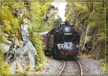 CPM Personenzug mit Dampflok 99 6001 am ''Kiosterkopf'' im Selketal