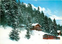 CPM Chemin de fer Nyon-St.Cergue-La Cure-Morez en hiver