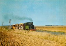 CPM Musee des Transports de Pithiviers (Loiret) Le Tortillard dans la Campagne Gatinaise