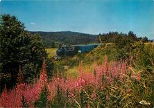 CPM Ardeche Touristique C'est un petit train departemental