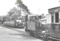 CPM Trains on the Peel line passing at St. Johns