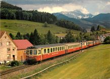 CPM BDe 4/4 Pendelzug der Appenzeller-Bahn