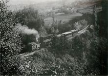 CPM Dampfzug unterhalb von Heiden mit1- und 2-stoeckigen Personenwagen aufgenommen 1884