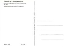 CPM Locomotive a vapeur "Alienor" construite en 1911