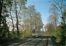 CPM Motrice/Rijtuig 7005 Entre les arrets Ruisseau et Ter Meeren