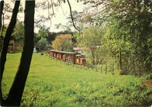 CPM Le petit train dans la verte campagne picarde