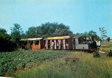 CPM Le train a vapeur sortant du bois de Bellebat