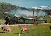 CPM Dampfzug der Rhaetischen Bahn (RhB) mit Dampflokomotive G 4/5 Nr. 108