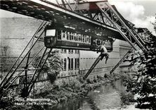 CPM "Tuffis" Wassersprung aus der Schwebebahn am 21. Juli 1950 kurz vor der Adlerbruecke