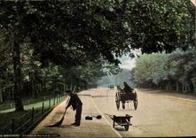 CPA Bois de Boulogne the road of Suresnes the morning