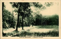 Wood of Meudon CPA the pond of Trivaux