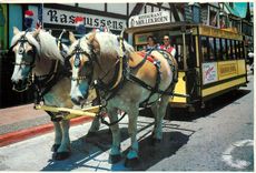 CPM The old time Trolley drawn by two superb Belgian draft horses California