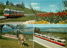 CPM Die Forchbahn Zurich Stadelhofen und Esslingen