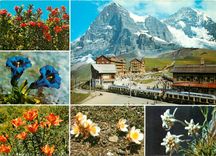 CPM Kleine Scheidegg mit Eiger und Monch