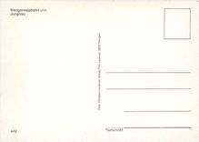 CPM Wengernalpbahn und Jungfrau