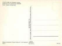 CPM Lângsjon mellan Fagersand och Ankarsrun