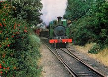 CPM Railway steam trains passing on Loop