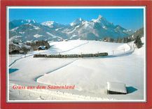 CPM Gruss aus dem Saanenland