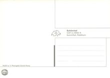 CPM Gruss aus dem Saanenland