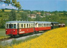 CPM Schmalspur Triebwagen VT 303 