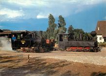 CPM Schinznacher Baumschulbahn Hermann Zulauf Damplokomotiven Pinus und Taxus 
