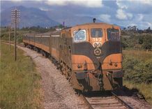 CPM Diesel electric locomotive 163 near Killarney 