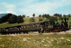 CPM Locomotive 28 Cn 2 Dampfzug der SWEG Achertalbahn 