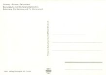 CPM Berninabahn mit Morteratschgletscher Bellavista Piz Bernina und Piz Morteratsch 