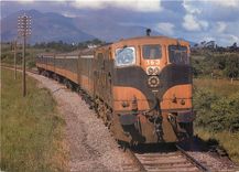 CPM Locomotive 163 near Killarney 