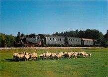 CPM Locomotive mit Tender 98 812 