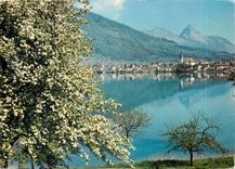 CPM Arth am See mit den beiden Mythen 