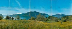 CPM Panorama Hertenstein Weggis Lutzelau 