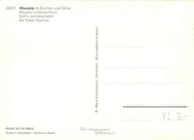 CPM Moosalp ob Burchen und Torbel Bergsee mit Bietschhorn 