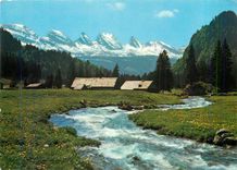 CPM Im Obertoggenburg Aelpli mit Churfirsten 