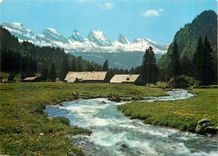 CPM Im Obertoggenburg Aelpli mit Churfirsten 